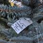 Photo of Hidden Springs Tree Farm
