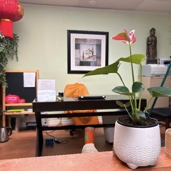 Zento - We are here for Your Health and Balance! Rejuvenate Your Body and Mind with Our Massage and Acupuncture Services! - Massage Near Me - Montreal, Quebec