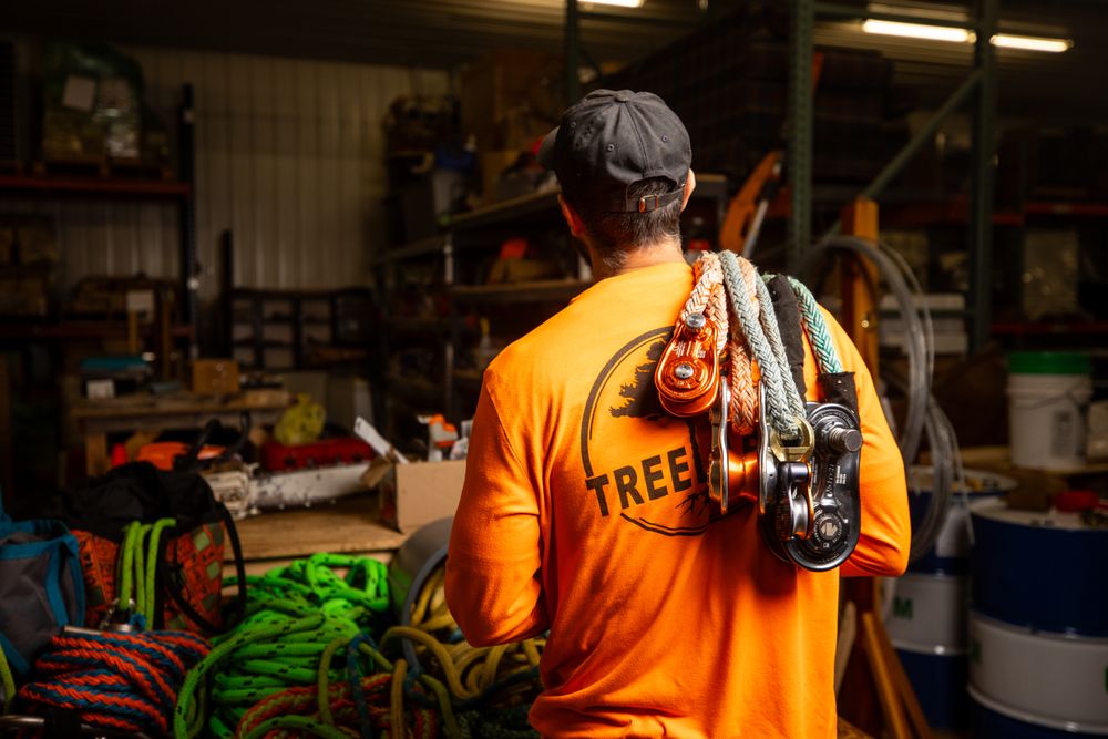 Tree Labs Tree Service - tree service in Marion, IA