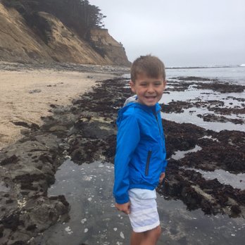 Fitzgerald Marine Reserve - A blast to go with kids....a lot of seals on beach if you look closely - Parks Near Me - Moss Beach, California Fitzgerald Marine Reserve - A blast to go with kids....a lot of seals on beach if you look closely - Parks Near Me - Moss Beach, California