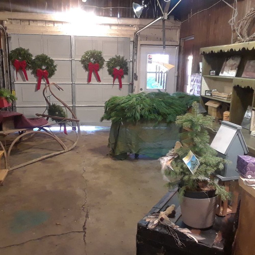 Bulk Flowers Dayton Ohio Best Flower Site