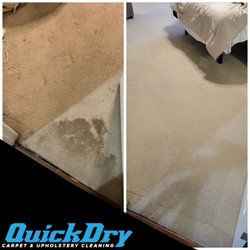 QuickDry Carpet & Upholstery Cleaning - Awesome stain removal after water damage and pets