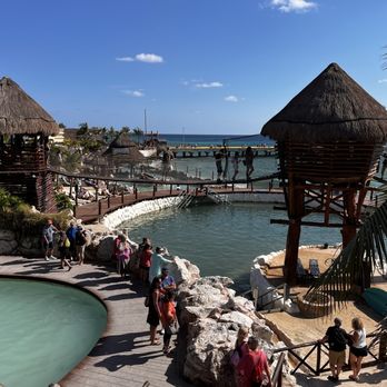 Puerto Costa Maya - The community pool (left) and dolphin pool on the right. - Beaches Near Me - Mahahual, ROO