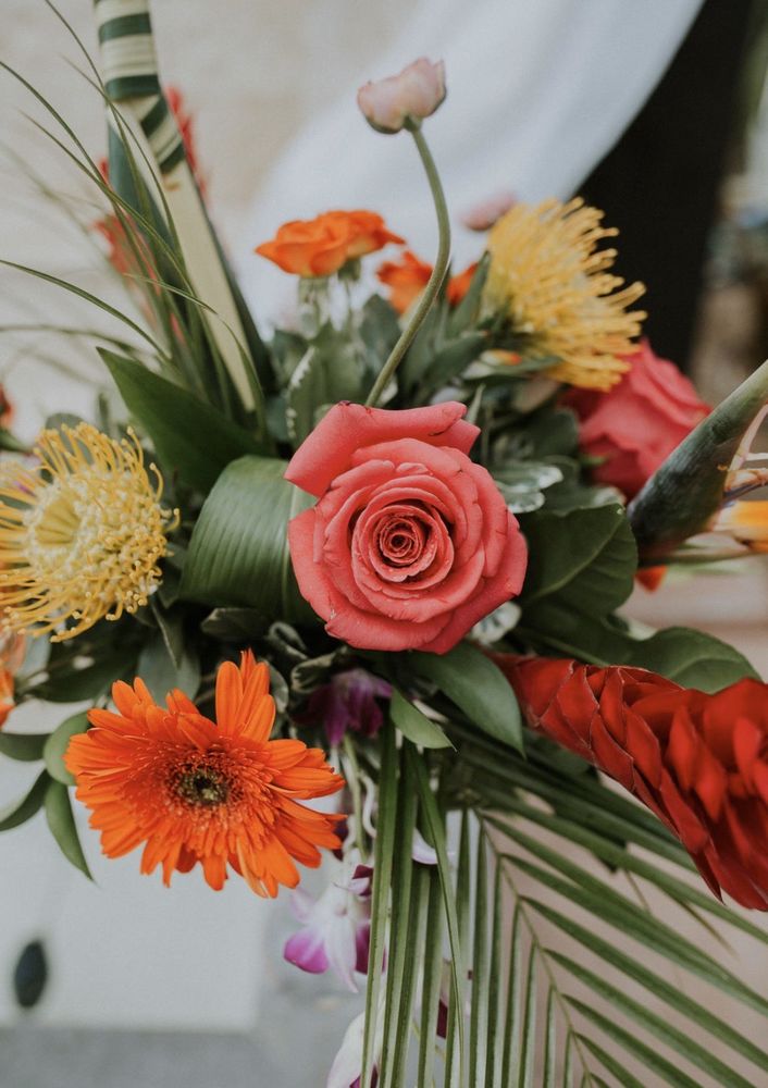 ORANGE BLOSSOM FLORIST 72 Photos & 25 Reviews 424 E Hospitality Ln