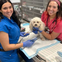 Access Specialty Animal Hospitals