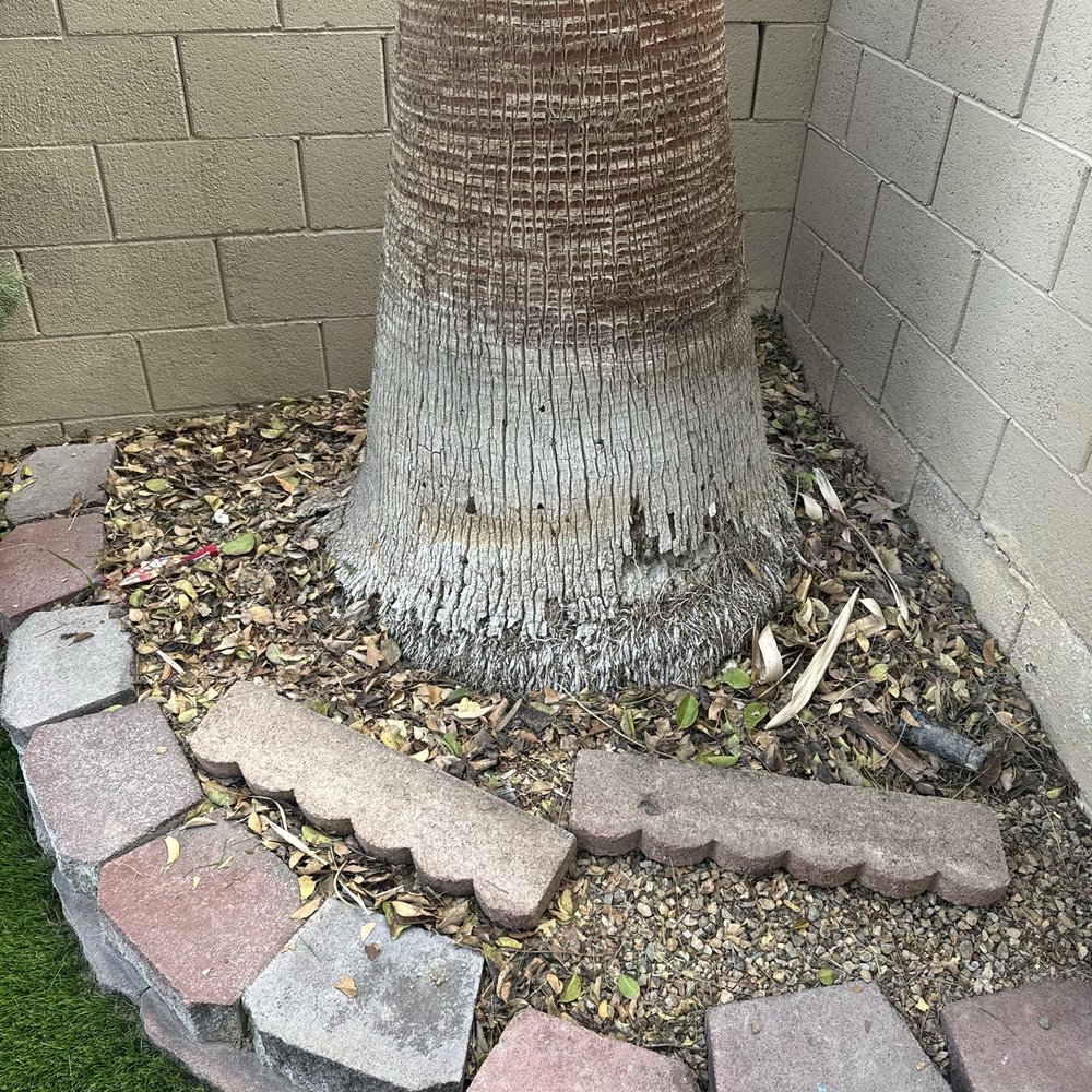 Big Bully Turf - bricks left behind, along with trash & debris - Landscaping Near Me - Henderson, Nevada