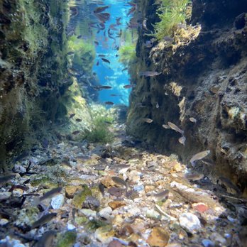 Kelly Park - Underwater photography - Hiking Near Me - Apopka, Florida Kelly Park - Underwater photography - Hiking Near Me - Apopka, Florida
