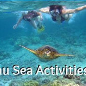 Hawaii’s Best Activities - Historical Tours Near Me Hawaii’s Best Activities - Historical Tours Near Me