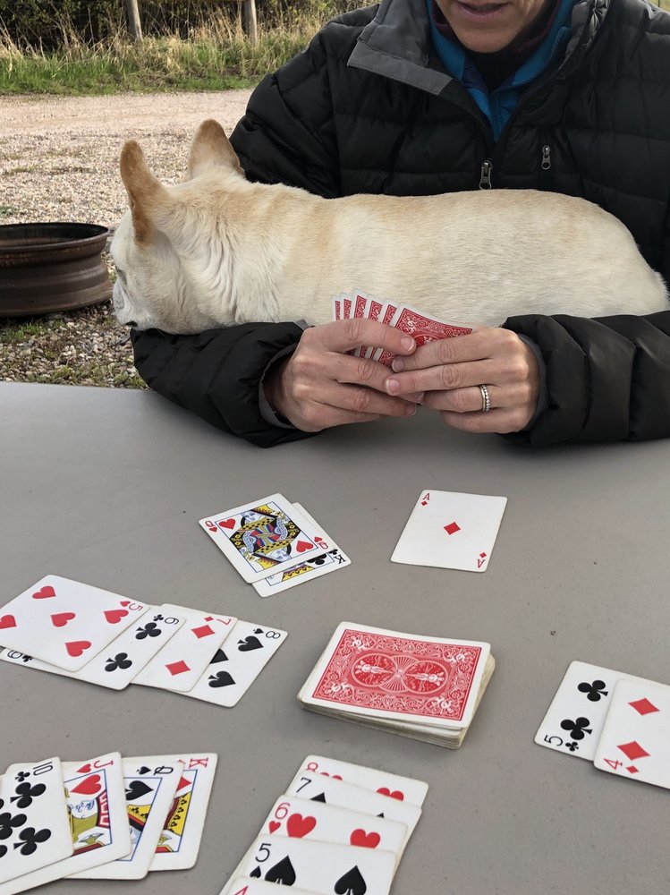 MONTPELIER CREEK KOA Updated September 2024 15 Reviews 28501 US Highway 89 North