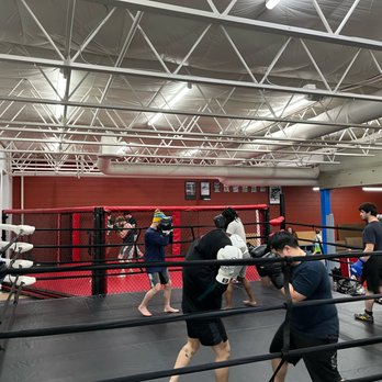 Ludusport - Boxing Near Me - Tacoma, Washington Ludusport - Boxing Near Me - Tacoma, Washington