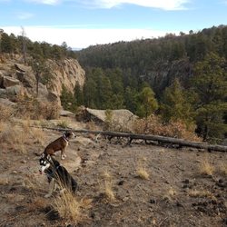 Rendija Dog Hikes & Pet Services