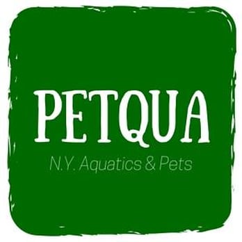 Petqua - Pet Stores Near Me - New York, New York Petqua - Pet Stores Near Me - New York, New York