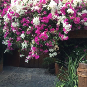 Amuleto - Front Entrance - Hotels Near Me - Ixtapa-Zihuatanejo, GRO