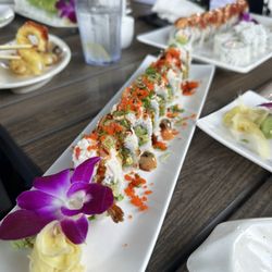 Sushi Garden - Aptos - Ebi Carnival