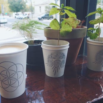 Peddler Coffee - Lovely decor - Coffee Roasteries Near Me - Philadelphia, Pennsylvania Peddler Coffee - Lovely decor - Coffee Roasteries Near Me - Philadelphia, Pennsylvania