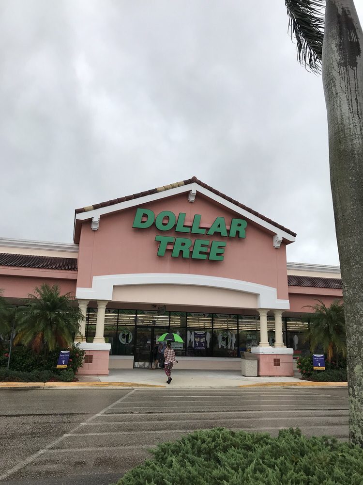 DOLLAR TREE Updated September 2024 26831 S Tamiami Trl, Bonita Springs, Florida Department