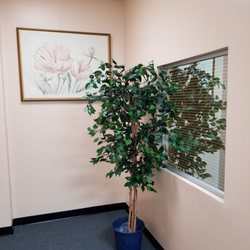 Antelope Valley Acupuncture &Herbs Clinic