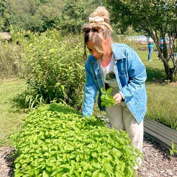 Nettle Wood Herbs - Herbs - Fruits & Veggies Near Me - Prophetstown, Illinois