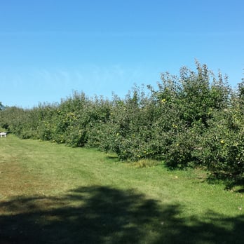 Door Creek Orchard - Fruits & Veggies Near Me - Cottage Grove, Wisconsin Door Creek Orchard - Fruits & Veggies Near Me - Cottage Grove, Wisconsin