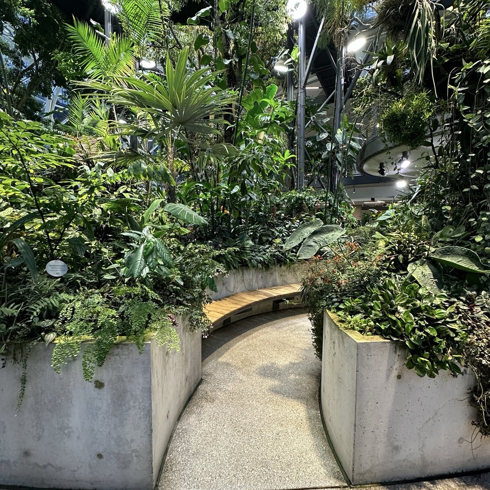 Amazon Spheres - Botanical Gardens Near Me - Seattle, Washington