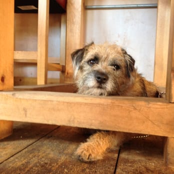 Ground Coffee House - Coffee & Tea Near Me - Brighton, BNH
