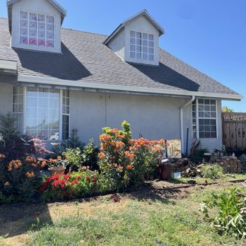 Rosegold Builders - Windows Installation Near Me - Milpitas, California