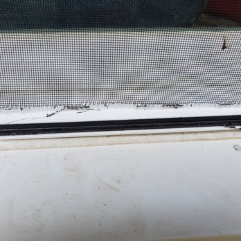 Window Nation - Ripped screen.  I took it out to clean it. - Windows Installation Near Me - Cleveland, Ohio