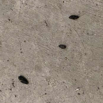 US Storage Centers - Dead bugs and rat shit also. - Self Storage Near Me - Sebastopol, California