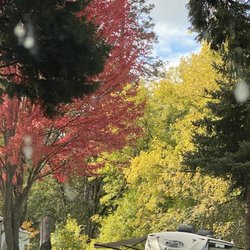 Fly Casters RV Park And Resort - We got here just in time for the seasons to change!