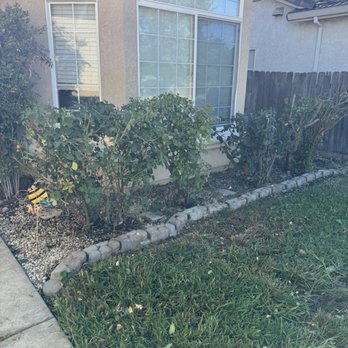 Always green lawn care - Lawn Services Near Me Always green lawn care - Lawn Services Near Me