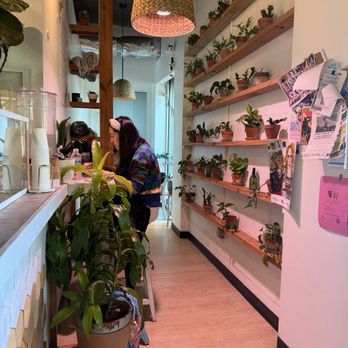 Cloche coffee - Coffee & Tea Near Me - Durham, North Carolina
