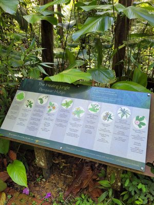 The Habitat Penang Hill by null