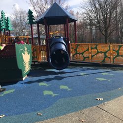 Skykomish River Park - Playground