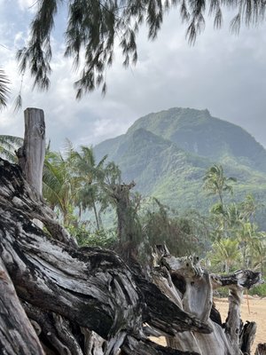 Tunnels Beach by null