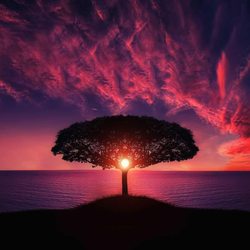 Center for Psychotherapy, Spirituality & Creativity