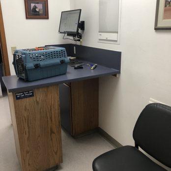 cat doctor federal way