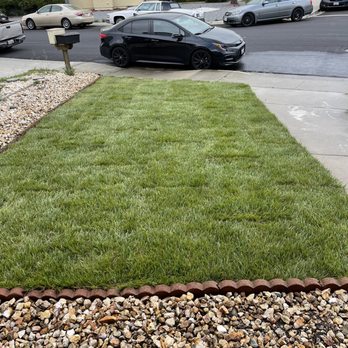 Carrisalinc General Contractor - After - Landscaping Near Me - Richmond, California Carrisalinc General Contractor - After - Landscaping Near Me - Richmond, California