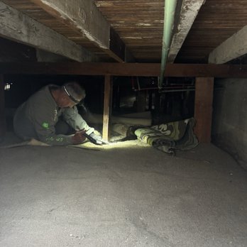 GO Inspect - Dimas crawling in the home's crawlspace to inspect foundation. - Home Inspectors Near Me - Long Beach, California
