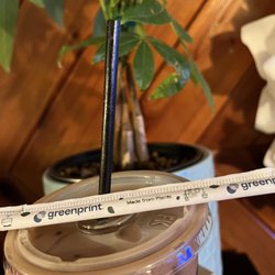 New black straws made from plants