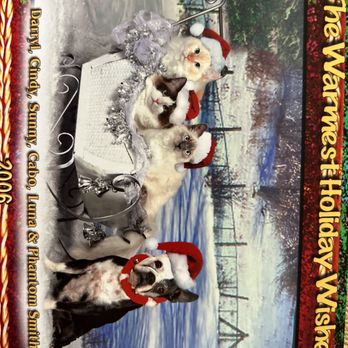 Ragdollkitty Ragdolls - My first three! They're all so beautiful, I couldn't decide! - Pet Breeders Near Me - Carlsbad, California Ragdollkitty Ragdolls - My first three! They're all so beautiful, I couldn't decide! - Pet Breeders Near Me - Carlsbad, California