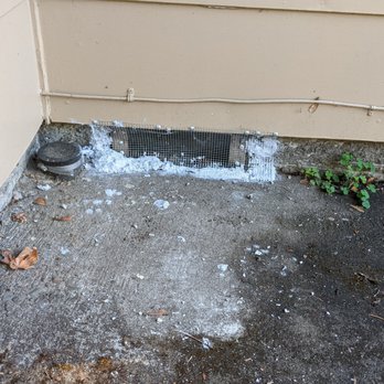 PURCOR Pest Solutions - This is an unacceptable job. PURCOR did not respond to requests to fix it. A complaint with BBB resulted in a refund. I still have to fix it - Pest Control Near Me - Portland, Oregon PURCOR Pest Solutions - This is an unacceptable job. PURCOR did not respond to requests to fix it. A complaint with BBB resulted in a refund. I still have to fix it - Pest Control Near Me - Portland, Oregon