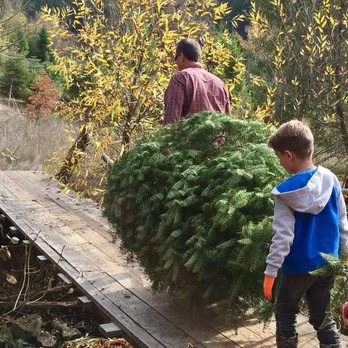 Hidden Canyon Christmas Tree Farm - Christmas Trees Near Me - Placerville, California