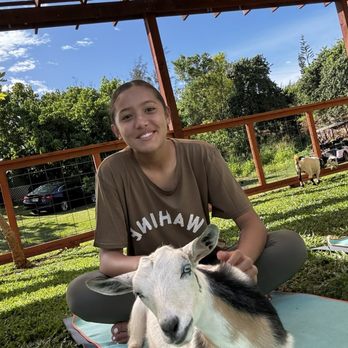 808 Goat Yoga - Yoga Near Me - Kilauea, Hawaii