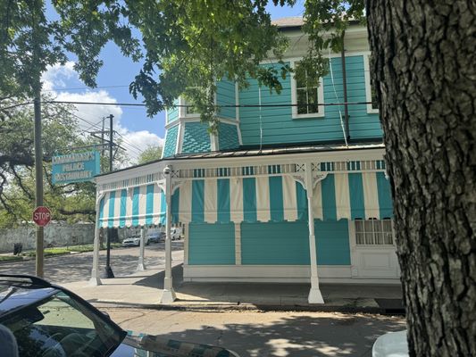 Nola Tour Guy by null