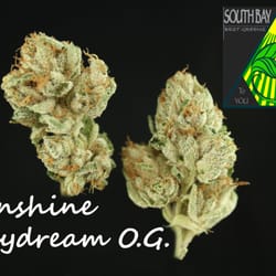 South Bay Best Greens - Sunshine Daydream O.G.