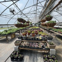Cox Family Gardens