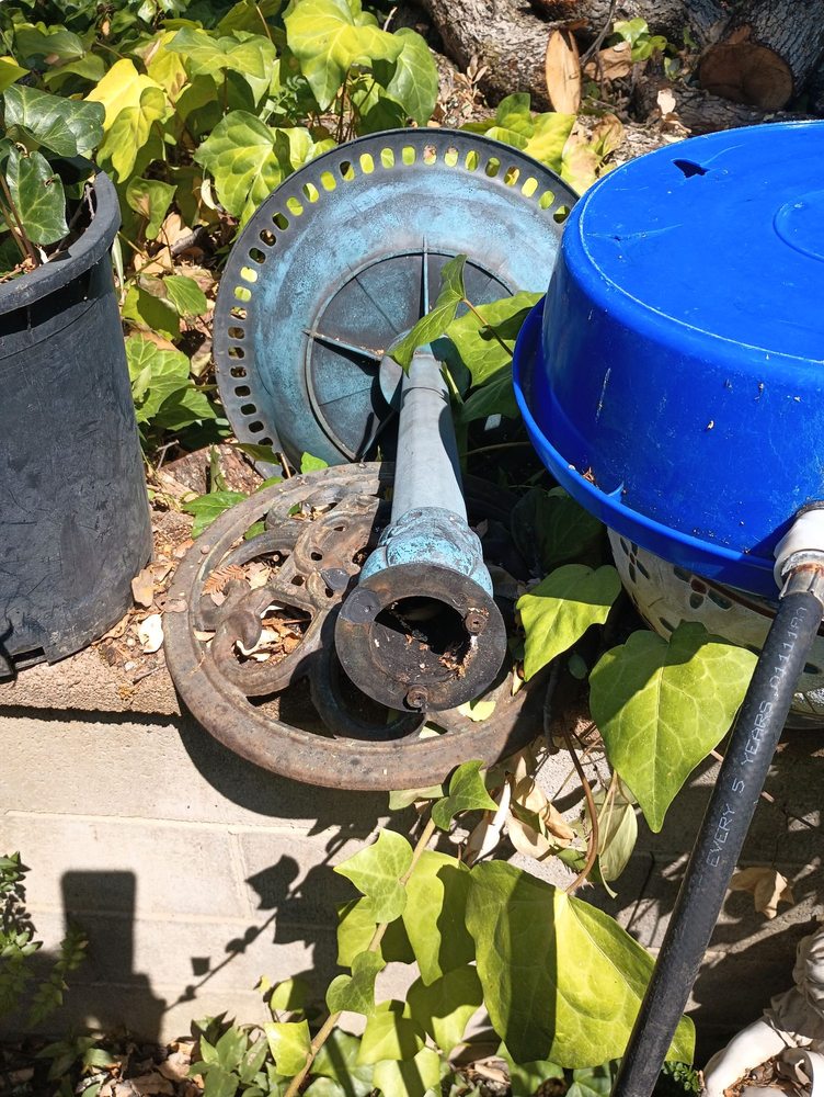 Above It All Tree Care - tree service in Citrus Heights, CA