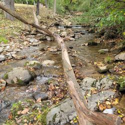 Middle Creek Campground
