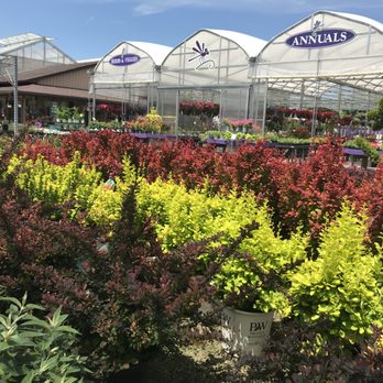 Nature's Corner - Nurseries & Gardening Near Me - Holland, Ohio Nature's Corner - Nurseries & Gardening Near Me - Holland, Ohio