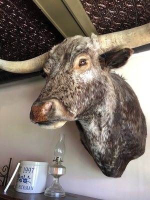 Hotel Hickman Chuckwagon BBQ by null